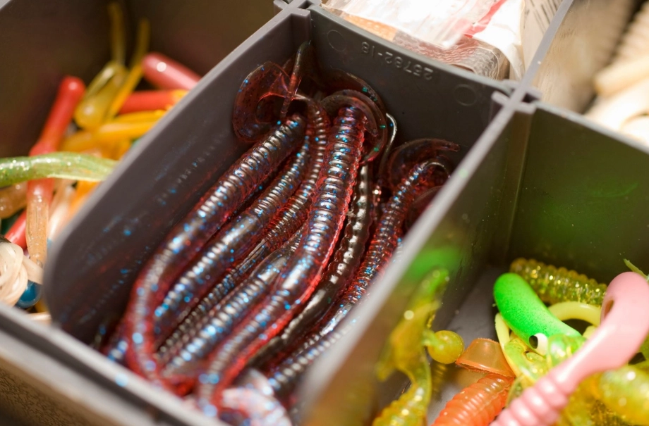 fishing bait worms fishing bait worms