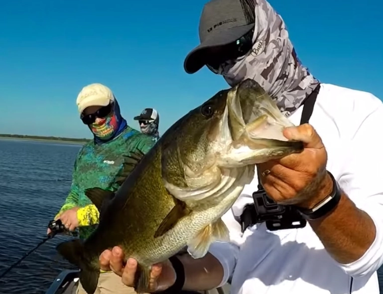 bass fishing tips