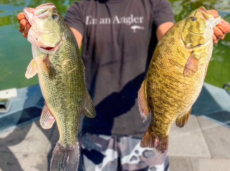 how to catch largemouth bass