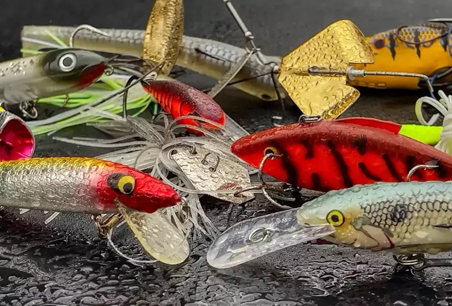 What bait is best for freshwater fishing?