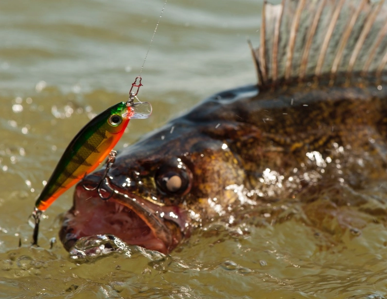 artificial lures for trout artificial lures for trout