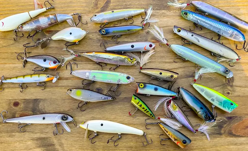 how to choose fishing bait how to choose fishing bait