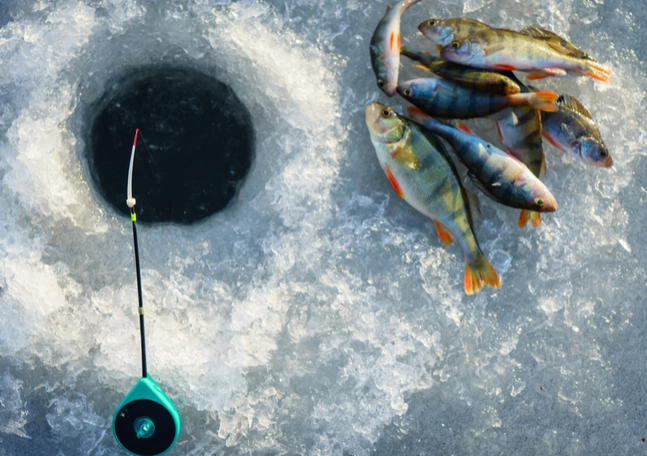 winter fishing tips