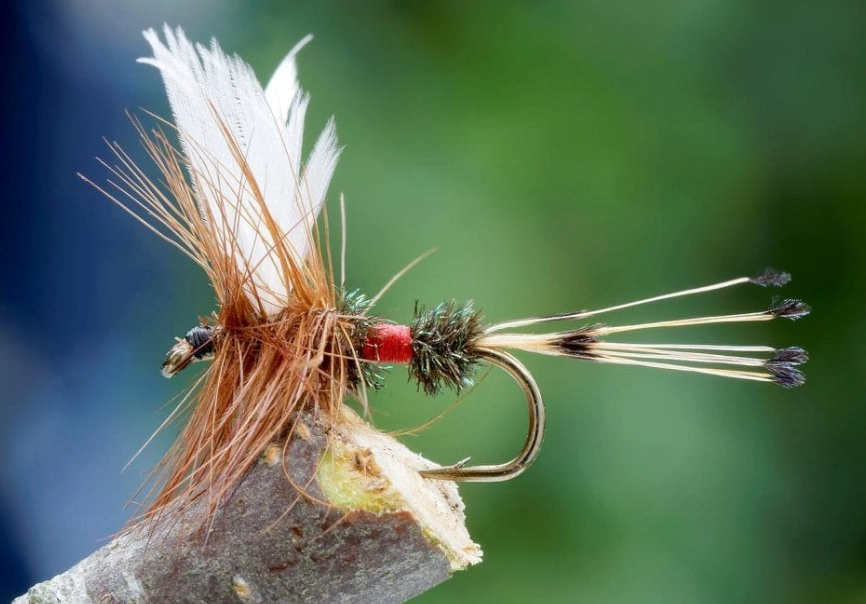 how to choose fly fishing flies how to choose fly fishing flies