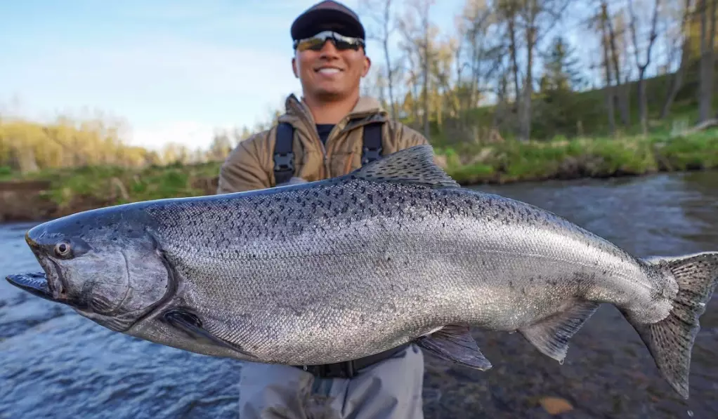 best river fishing techniques