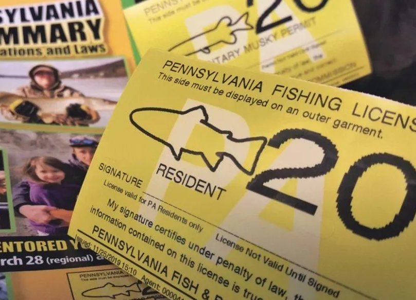 fishing license cost