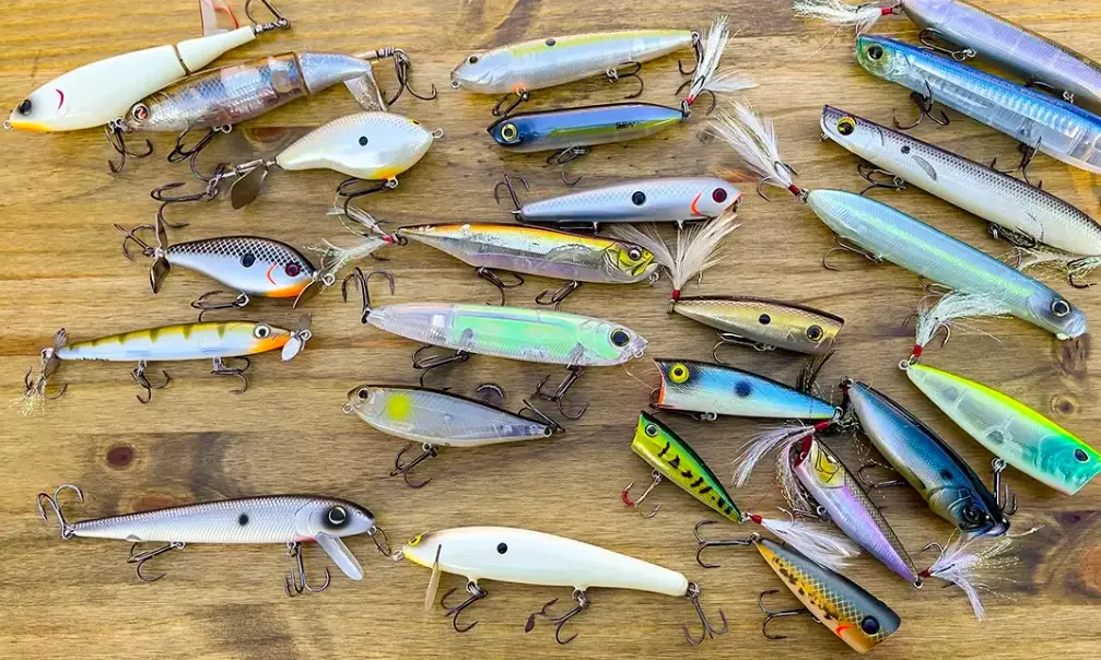 how to choose bass bait how to choose bass bait