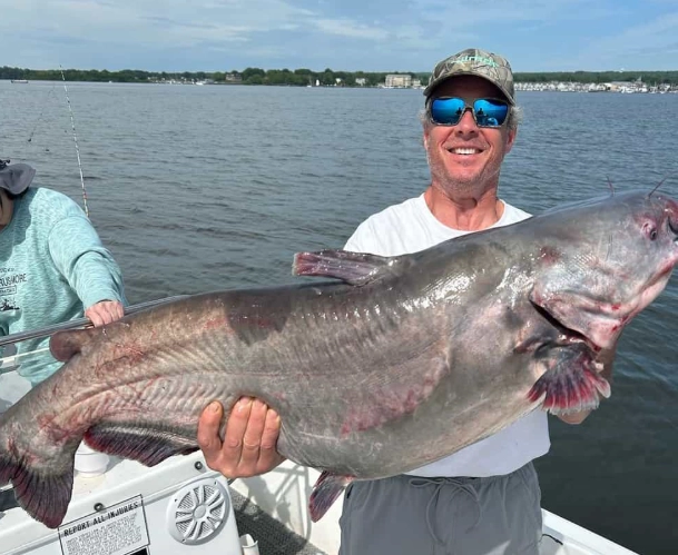 best catfish fishing spots