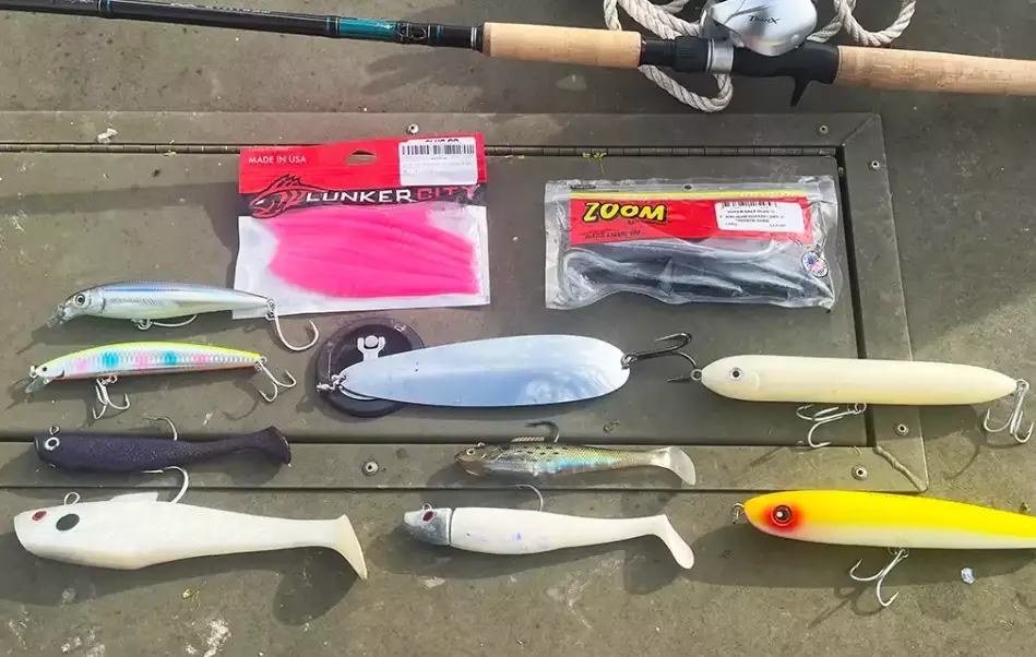 top bass lures