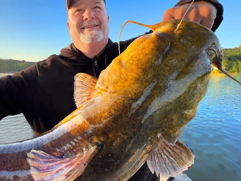 catfish fishing tips