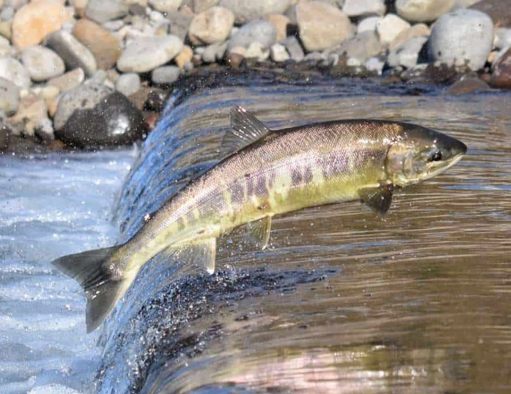 river fishing spots river fishing spots