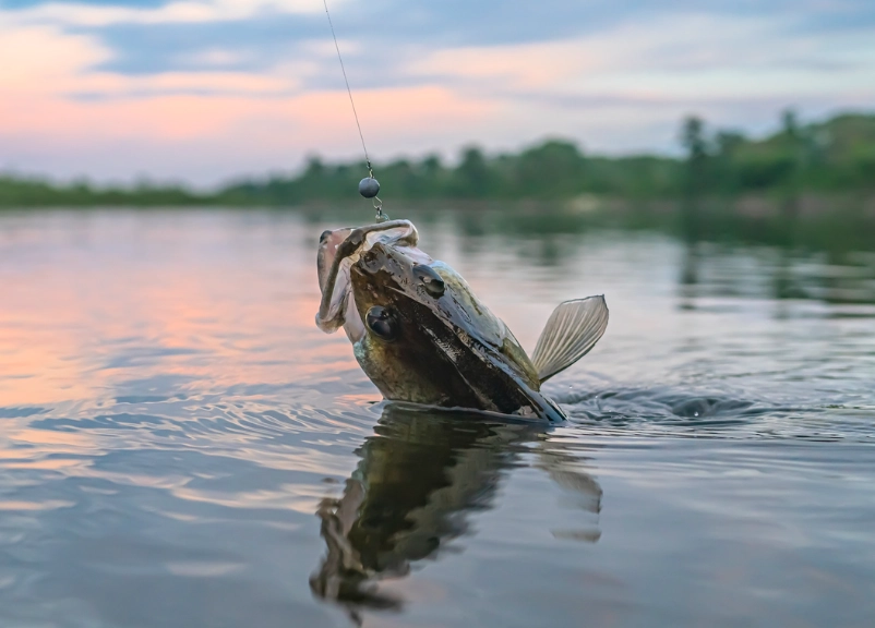 How to fish in a river with a strong current