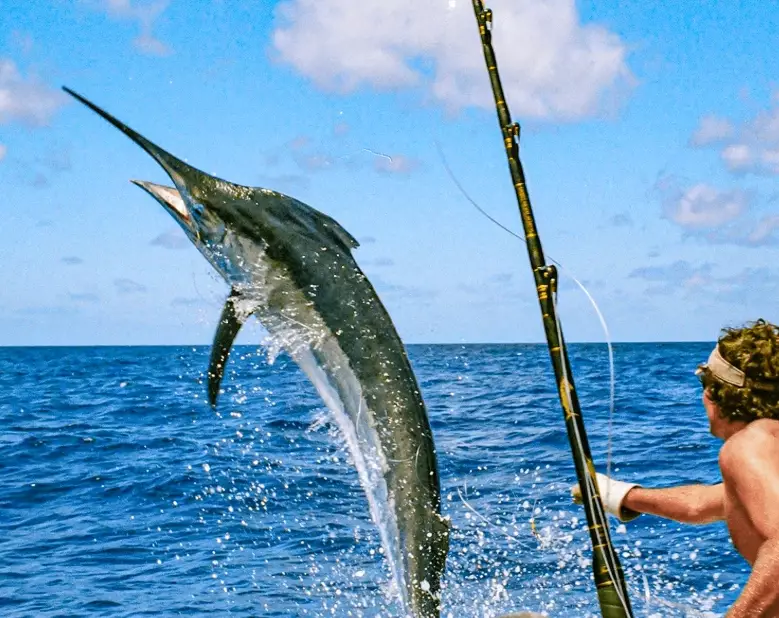 best fishing gear for ocean