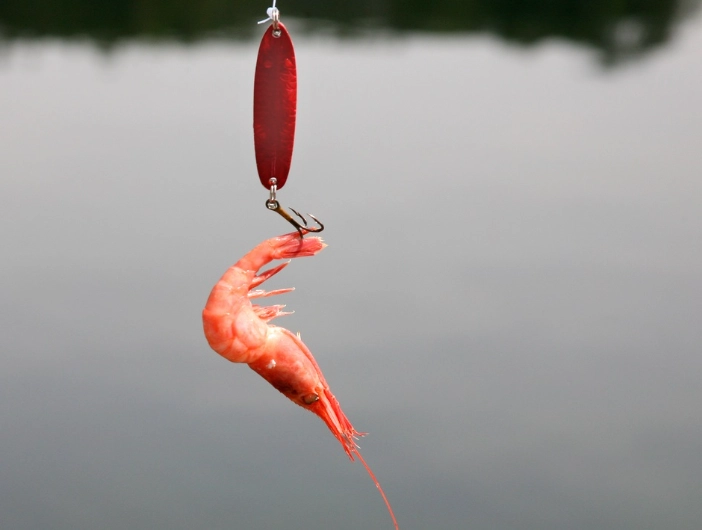 best live bait best live bait