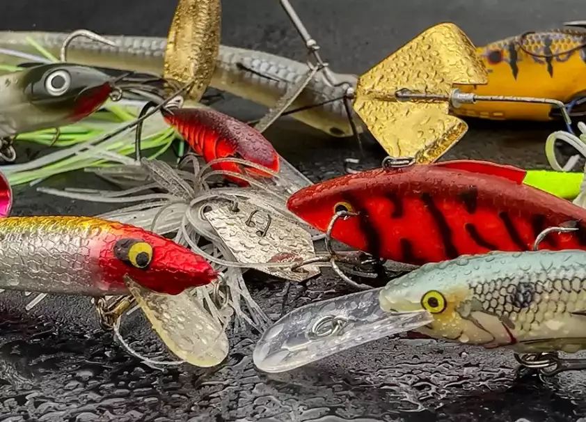 types of fishing bait