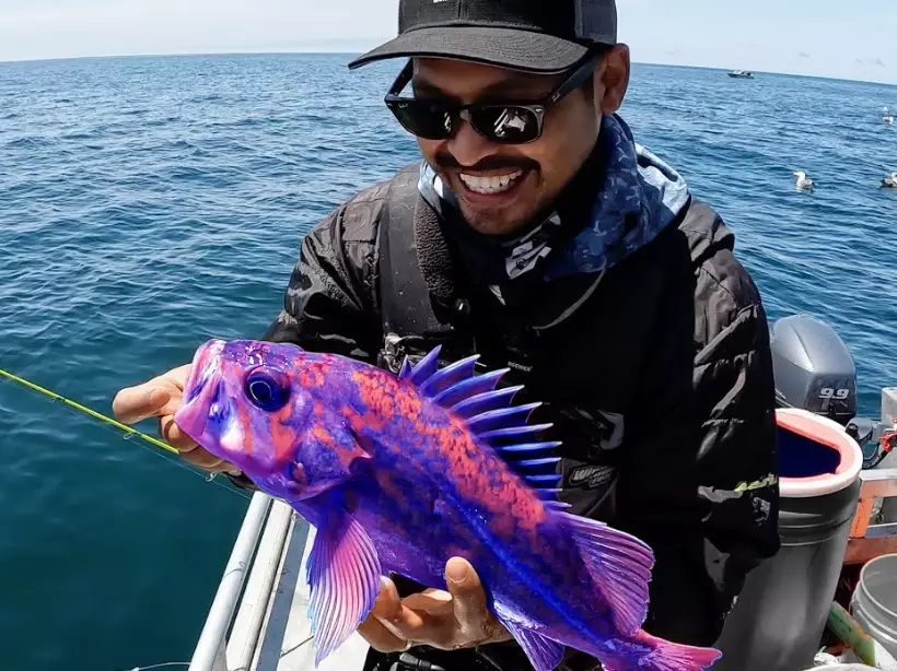 saltwater fish species