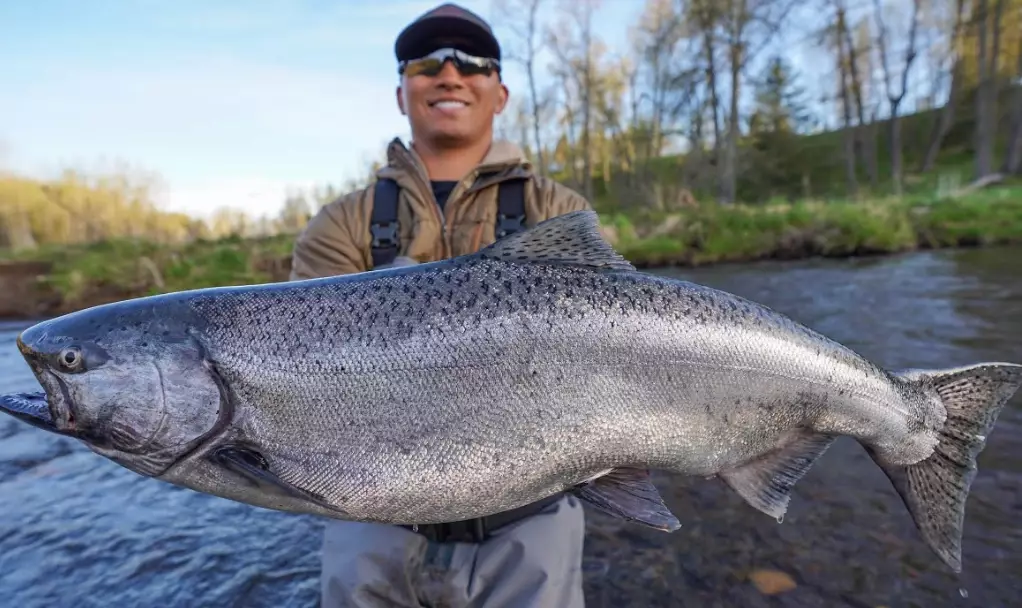 What kind of fish do you catch in a river?