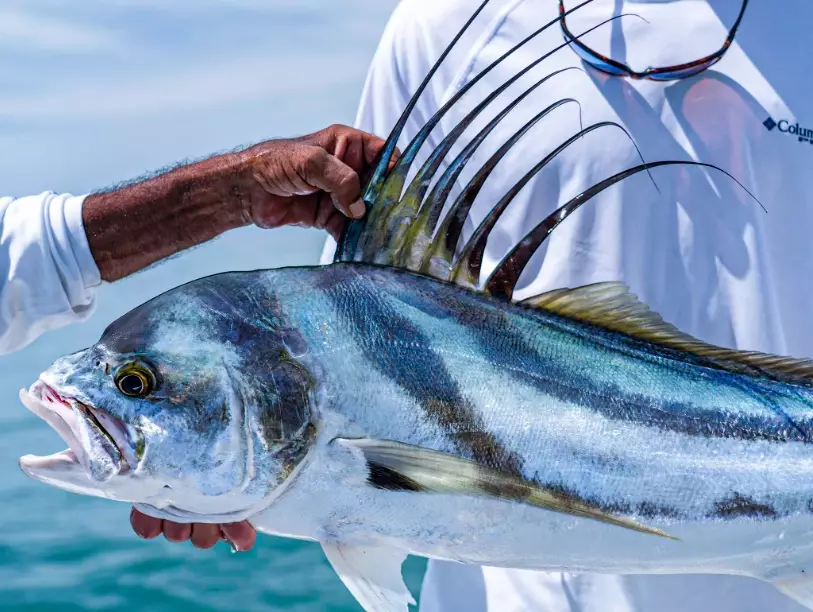 how to fish in the sea