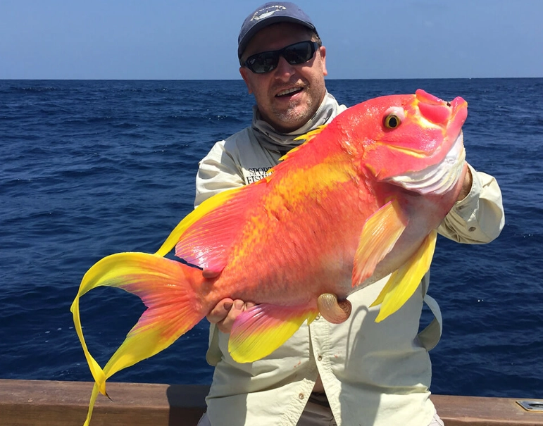 ocean fishing for beginners