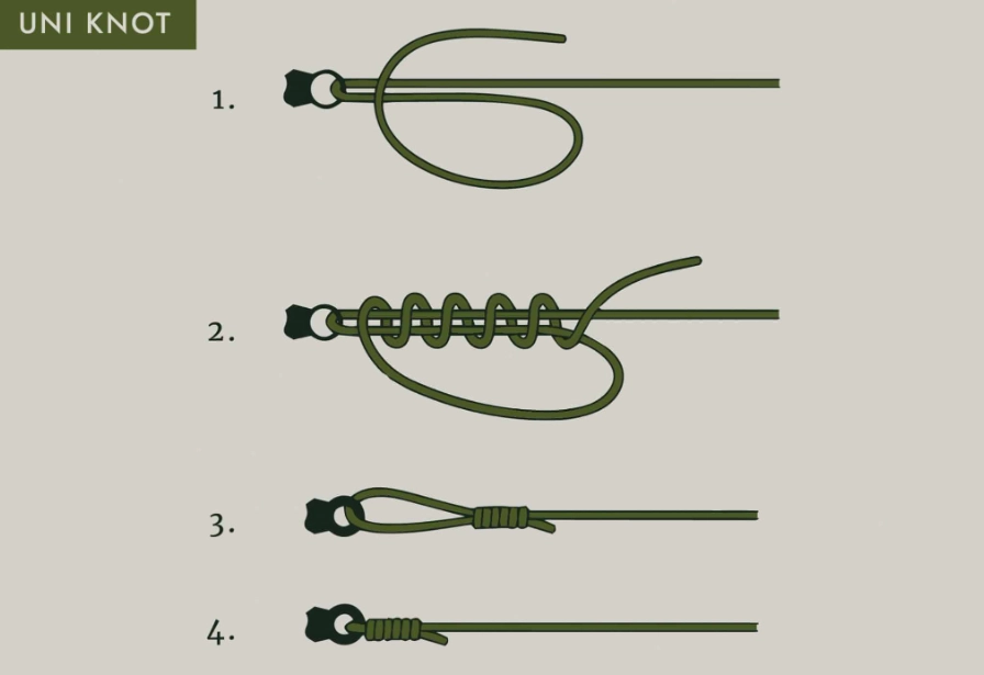 fishing knot guide