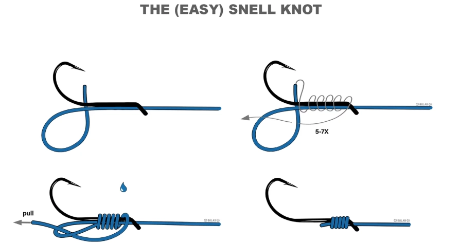 fishing knots for beginners