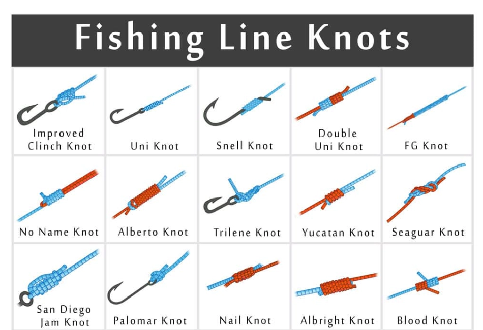 Basic fishing knots