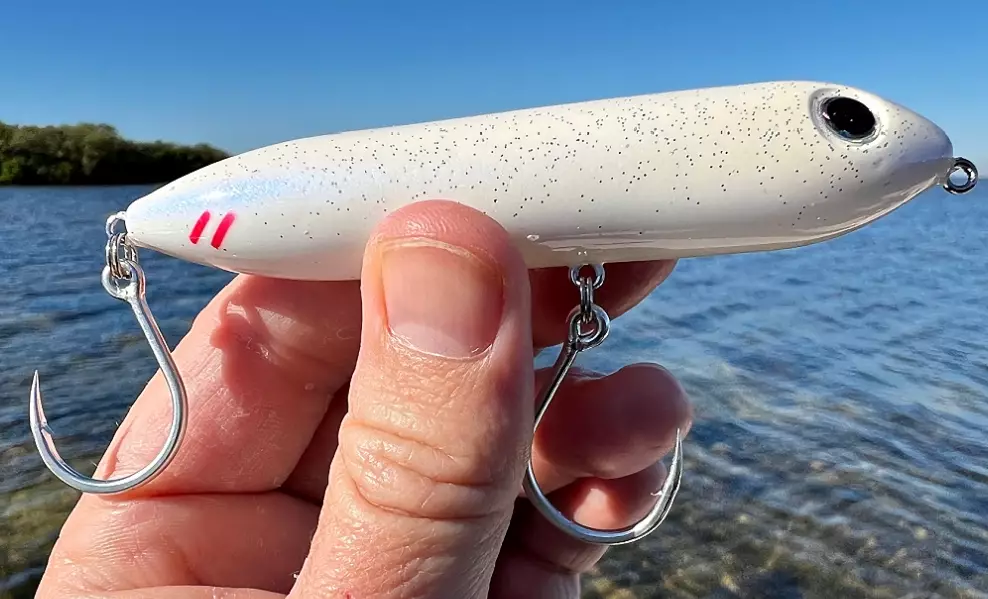 best saltwater fishing rigs