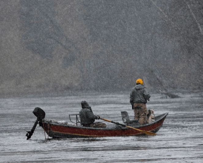 fishing license Michigan