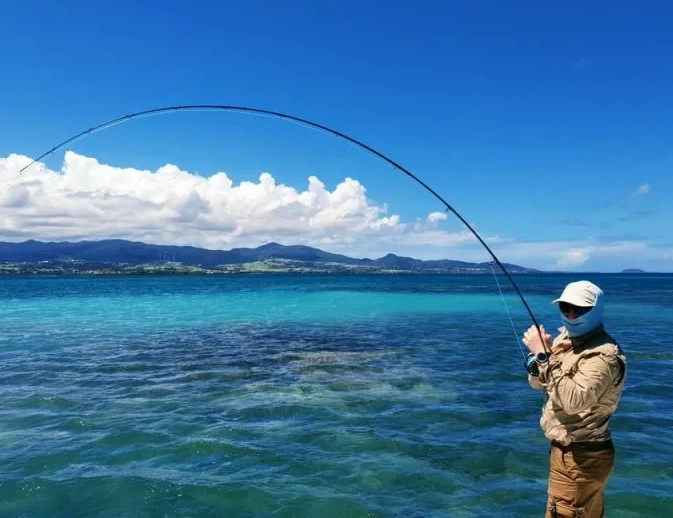 fishing license Michigan