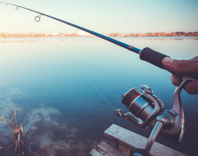 how to choose fishing line