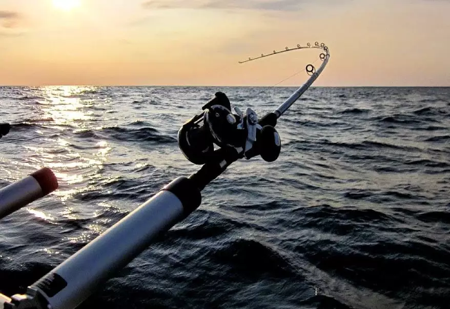 One day fishing license Washington