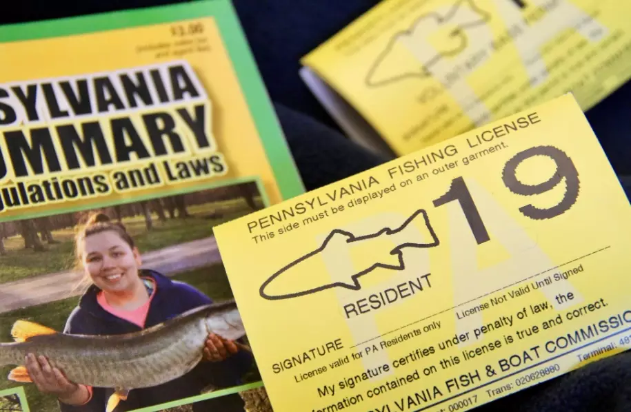 California fishing license price
