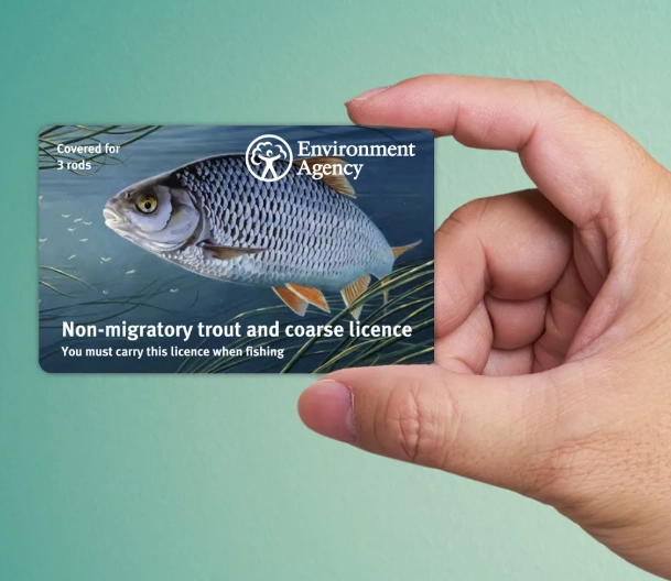 how much is a fishing license in CA