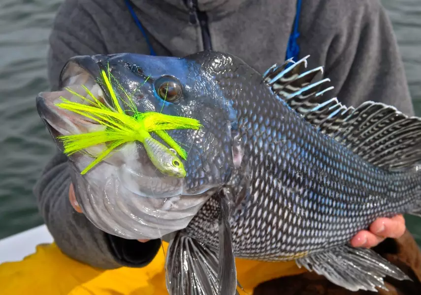 fishing license requirements