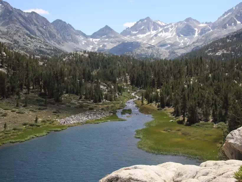 California fishing license