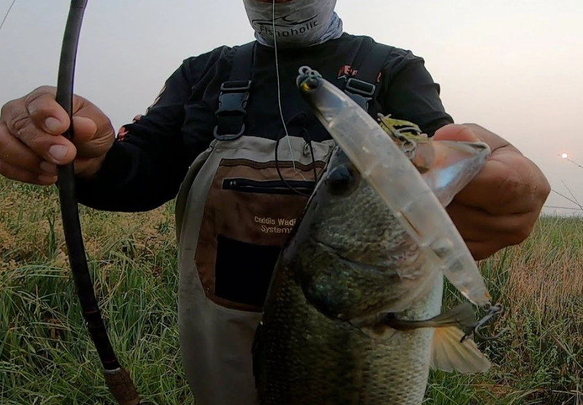 fishing waders for bass