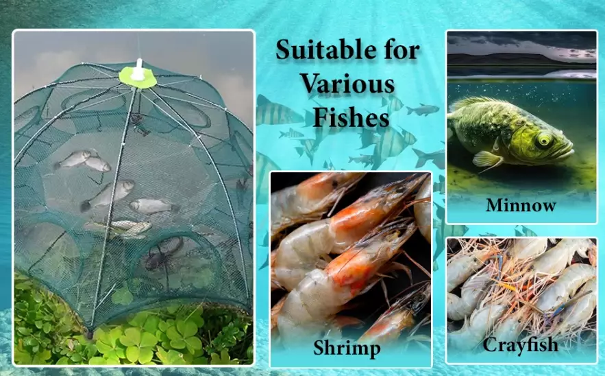 how to use a fishing net