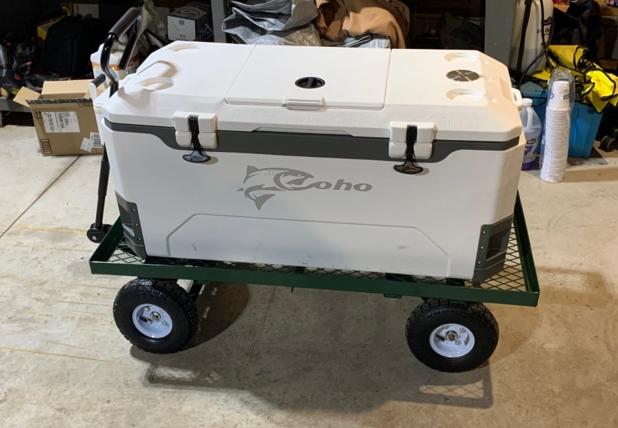 measuring fish length cooler