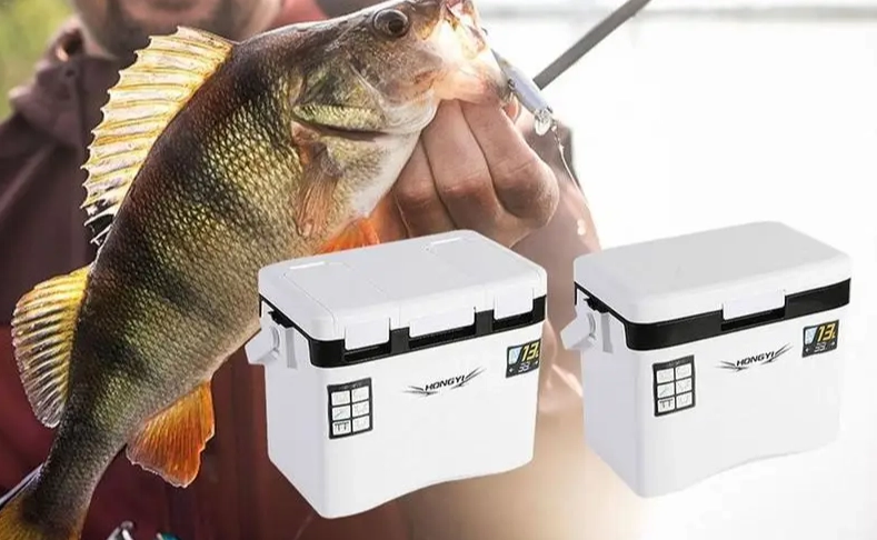 Fishing cooler for Fish
