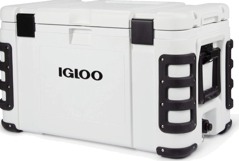 measuring fish length cooler