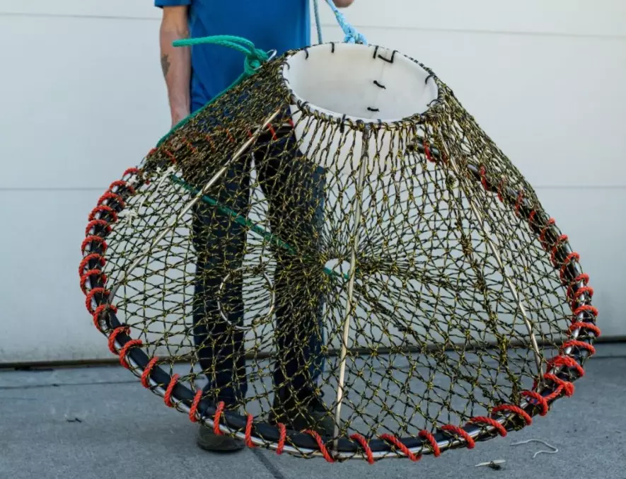 best fishing net for beginners