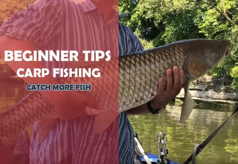 beginner fishing tips beginner fishing tips