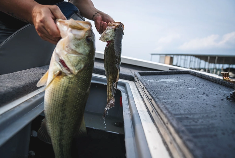 how to enter bass tournaments