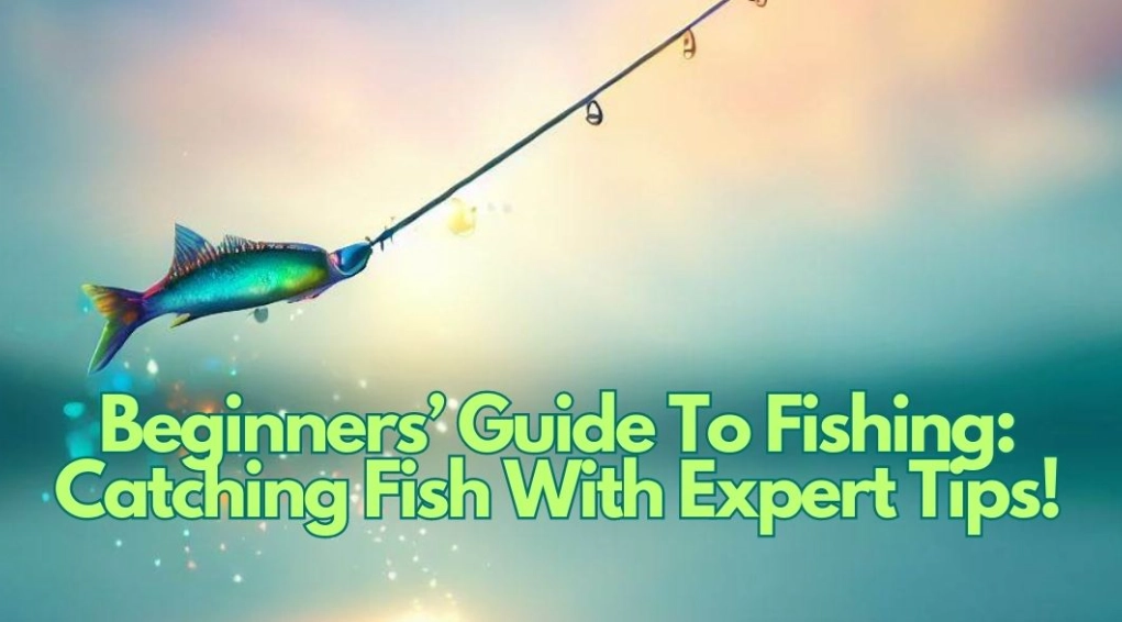Fishing guide for beginners