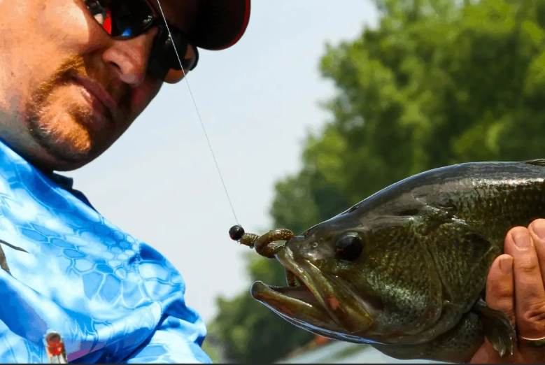 How to start competing in fishing tournaments?