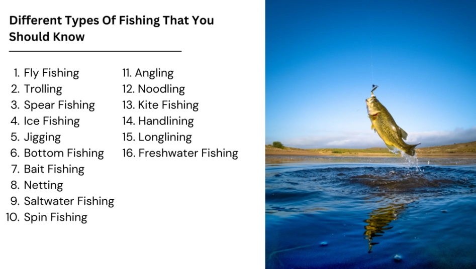 What are the different types of fishing competitions?