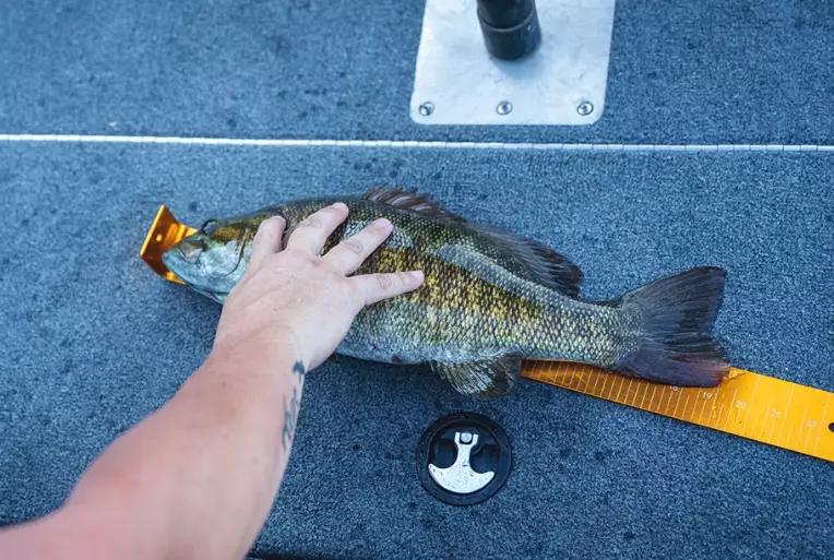 fishing competition rules