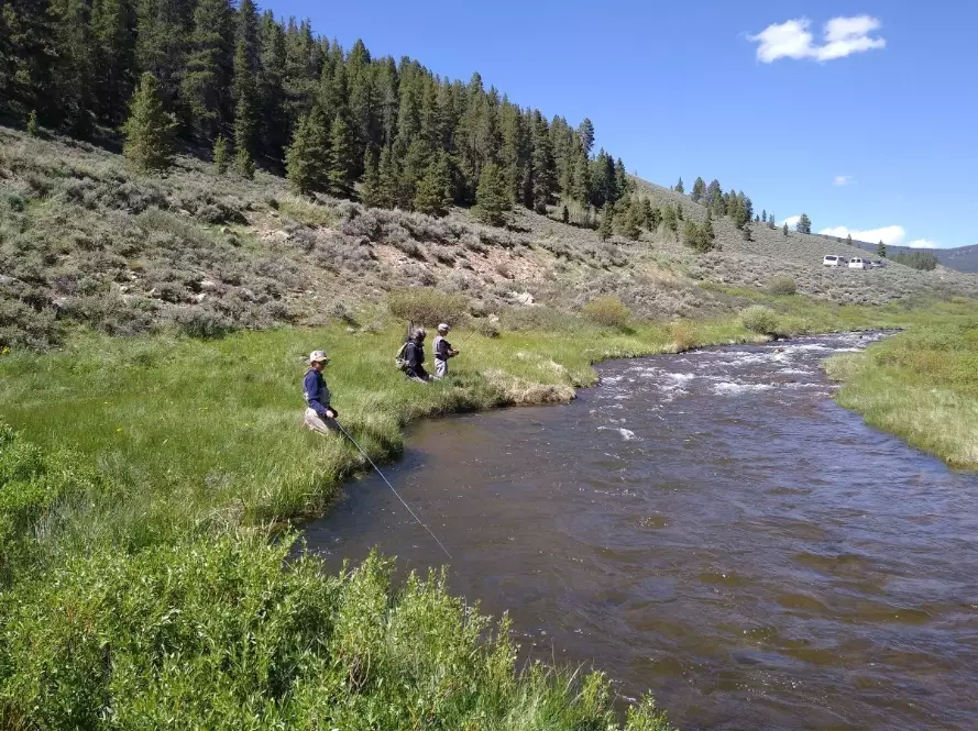Kids fishing Camp Colorado