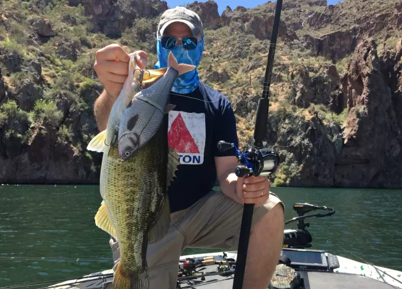 AZ fishing stocking AZ fishing stocking