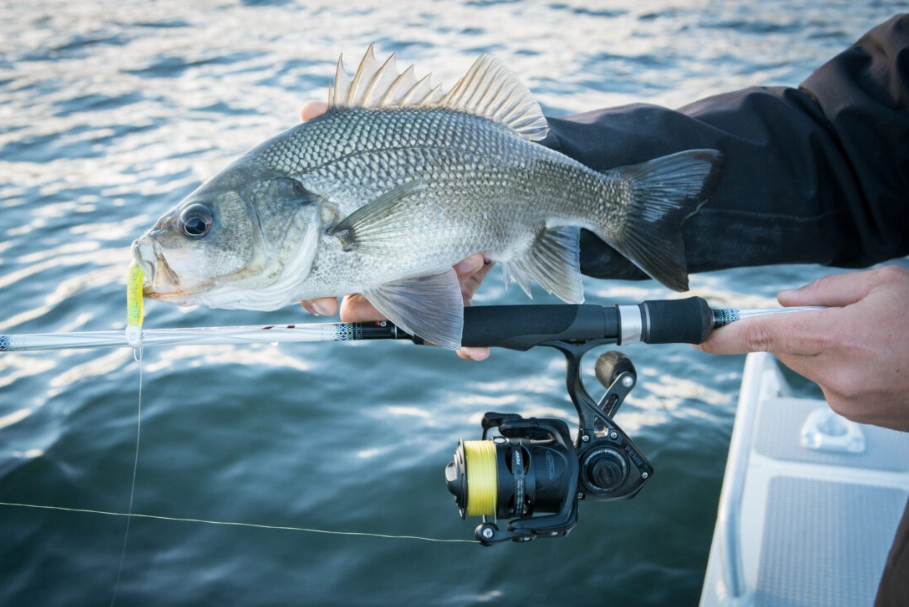 Freshwater fishing trends